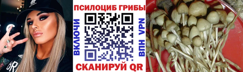 как найти наркотики  Невьянск  Галлюциногенные грибы мухоморы 